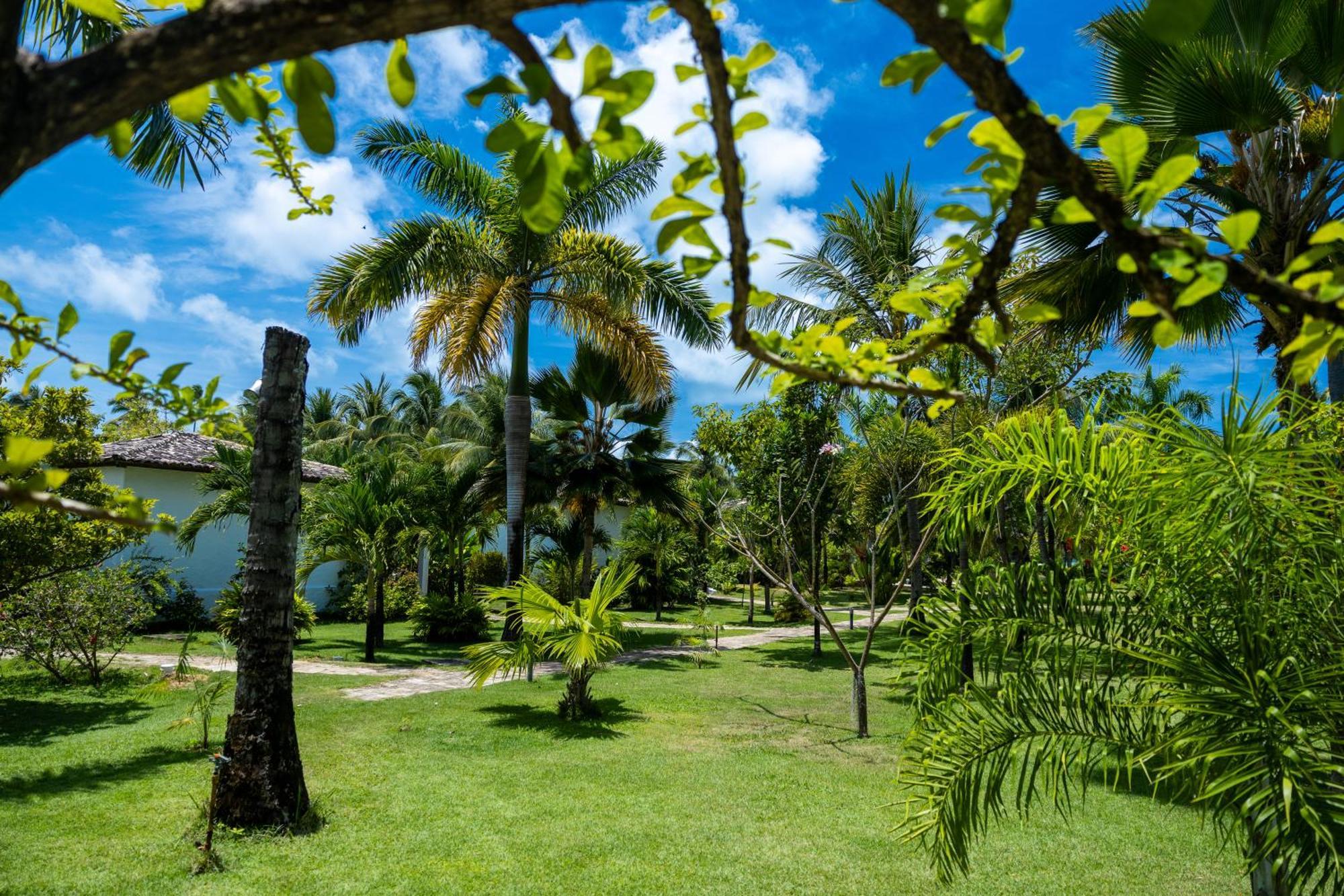 Pousada Aldeia Beijupira Pôrto de Pedras Exteriér fotografie